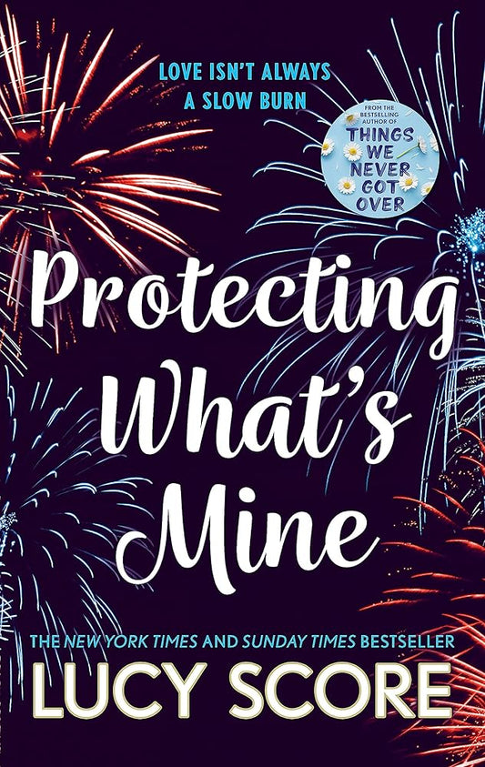 Protecting What s Mine: the stunning small town love story from the author of Things We Never Got Over cover image