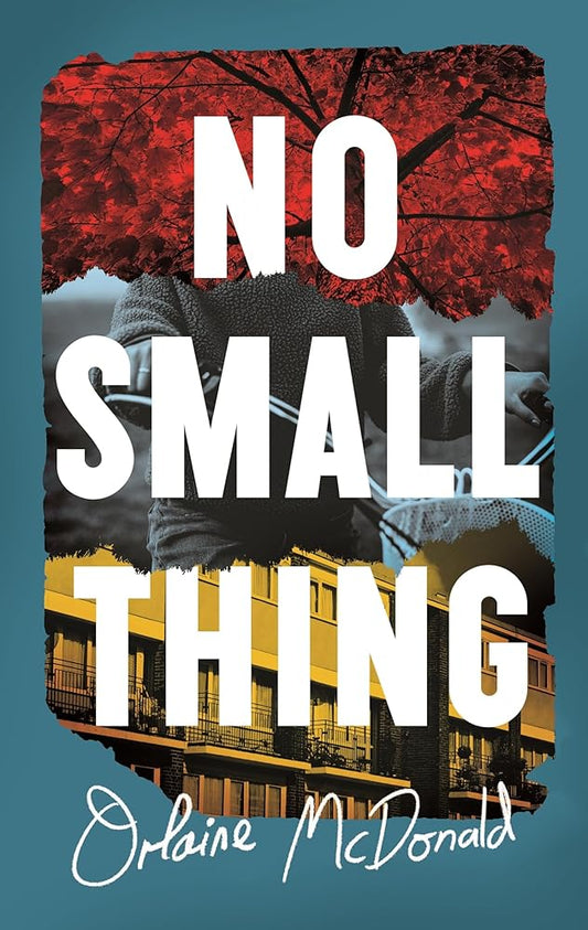 No Small Thing cover image