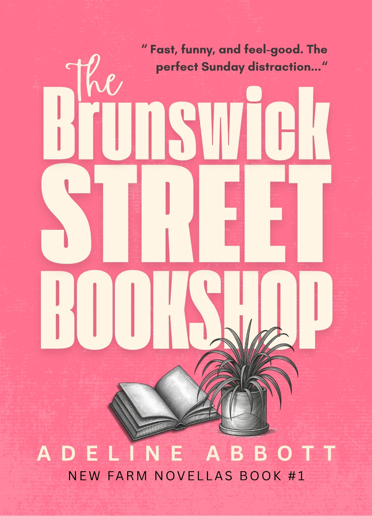 The Brunswick Street Bookshop
